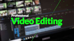 I will do professional video editing for any social m...