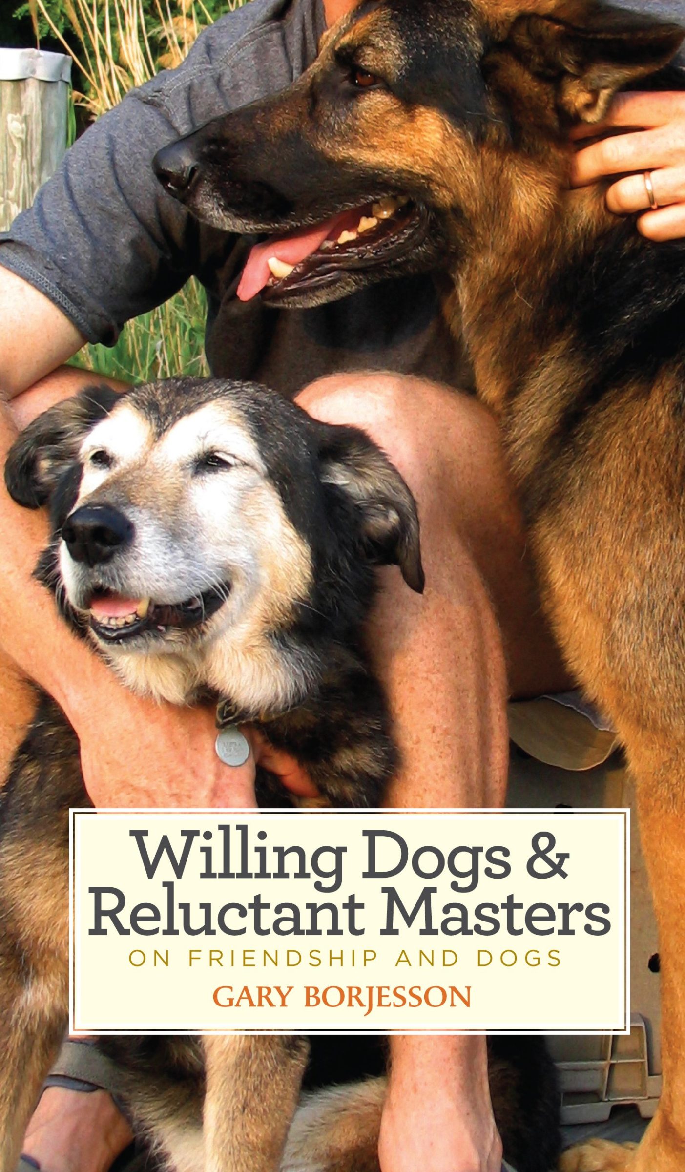 An article titled Things You Should Do With Your Dog ...