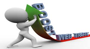 i will drive real and organic traffic for your websit...