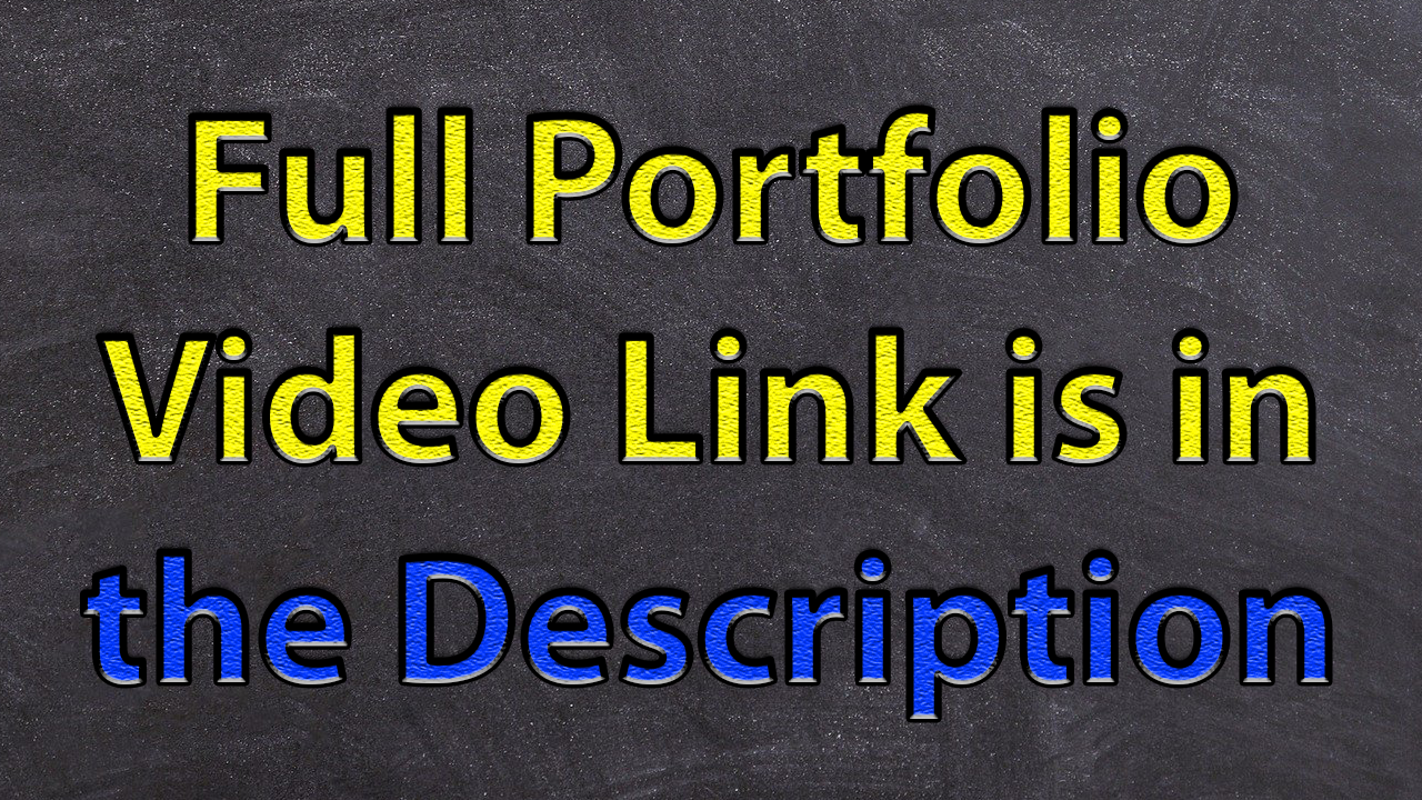 I will do 4 professional logo animations wit an extra...