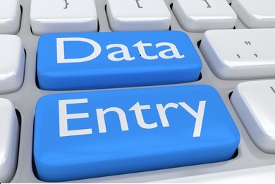 perform excel data entry, copy-paste, type, data e...