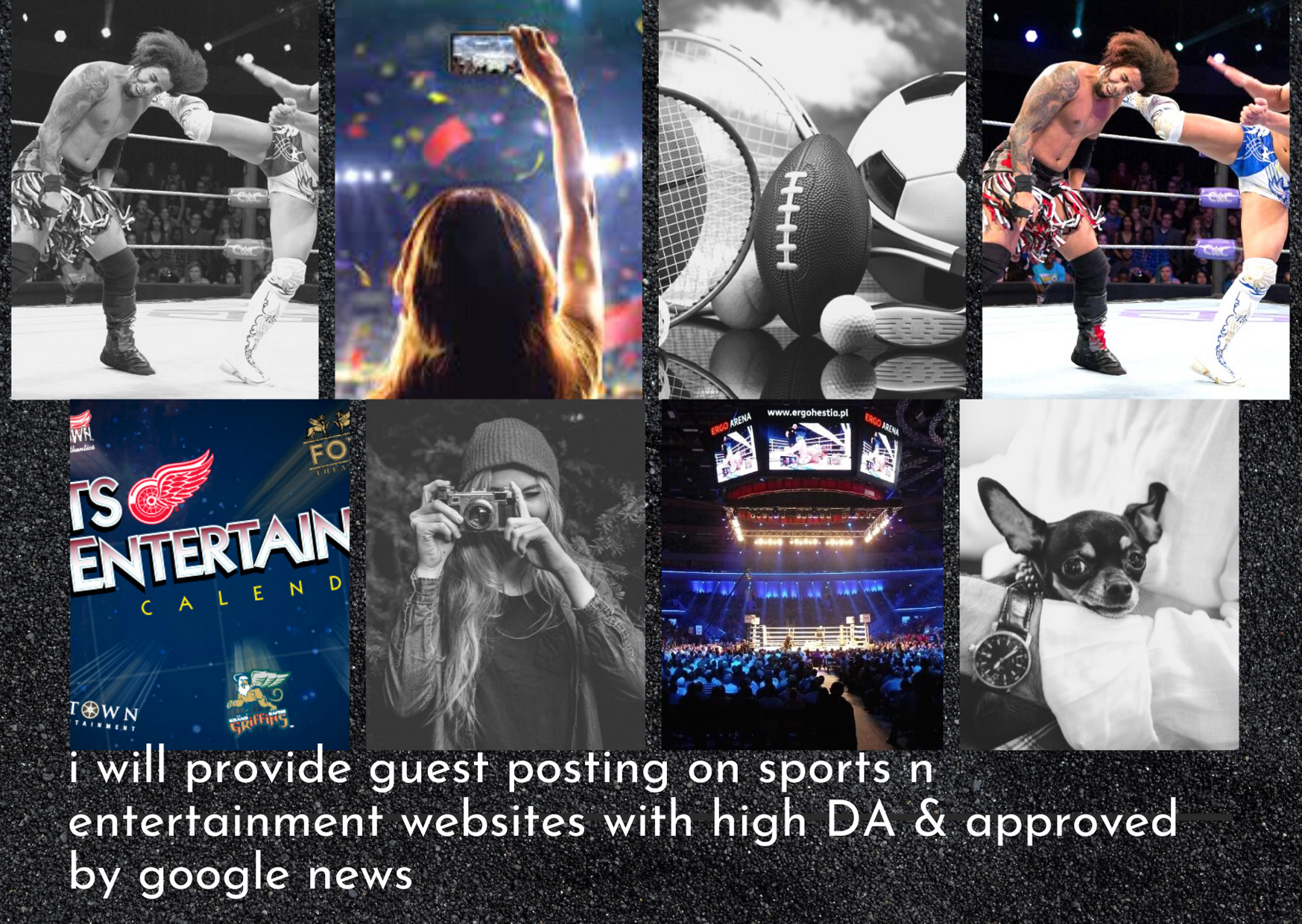 I will provide guest posting on sports n entertainmen...