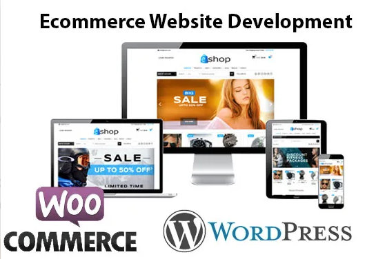 I will Develop WordPress eCommerce website, online s...