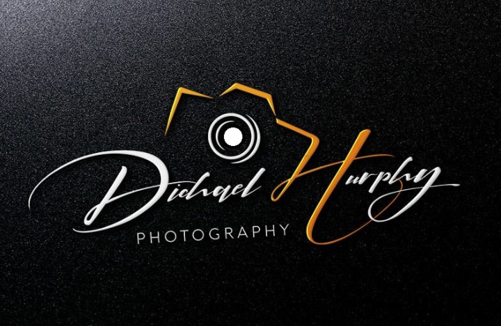 I will design eye catchy signature logo design & ...