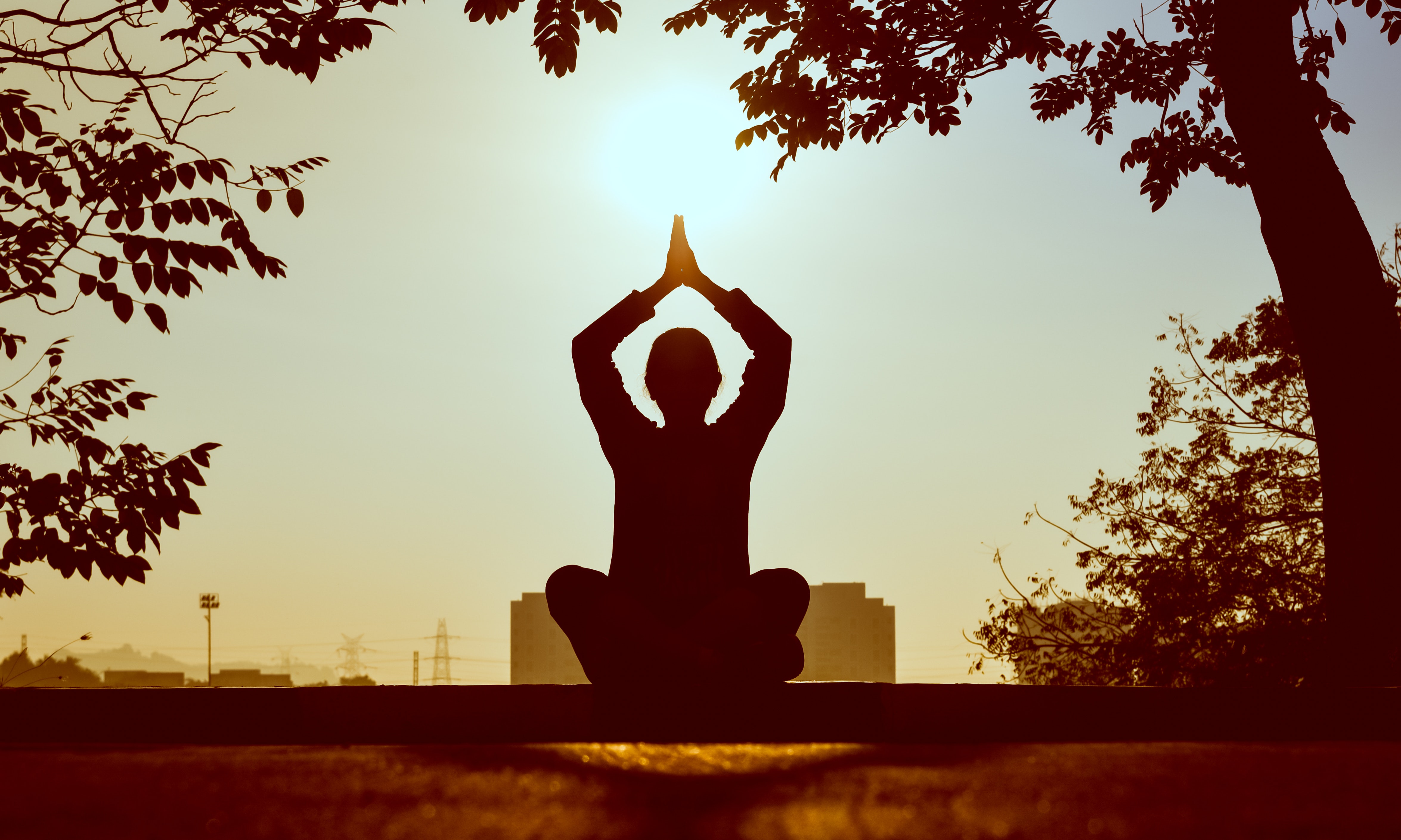 I will compose ambient, relaxing, meditation music