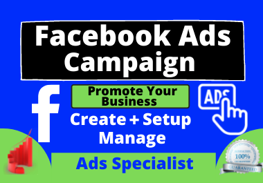 I will create your Facebook ads campaign to promote y...