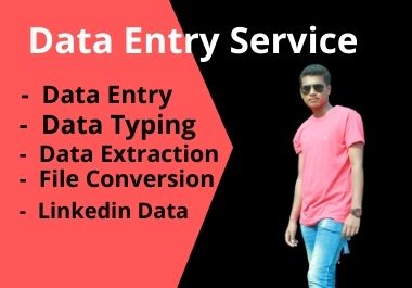 I will do data entry, copy-paste, manual data typin...