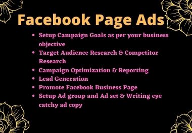I will setup and can run your FB page ads campaigning...
