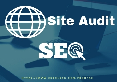 I will audit your on-page WordPress site and send a c...