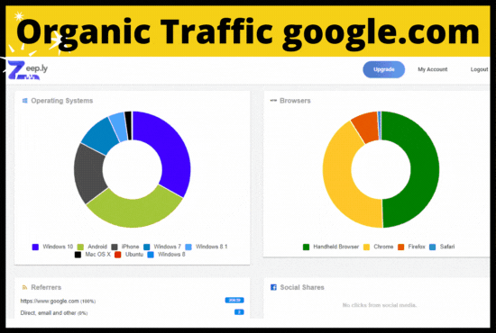 I will send 1500 strong organic targeted USA web traffic