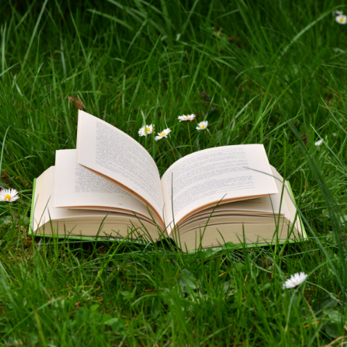 great article nice information valuable information
