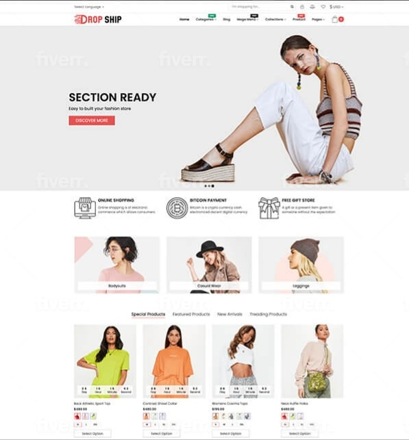 I will build your professional dropshipping shopify s...