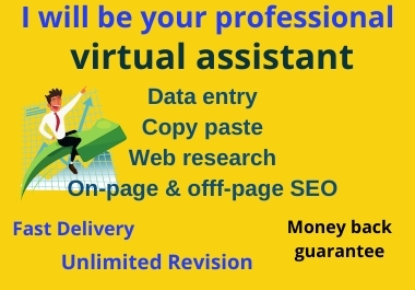 I will be your professional virtual assistant for e-c...