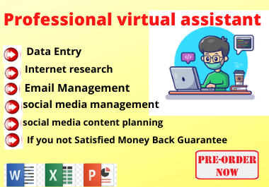 I will do Professional your virtual assistant for web...