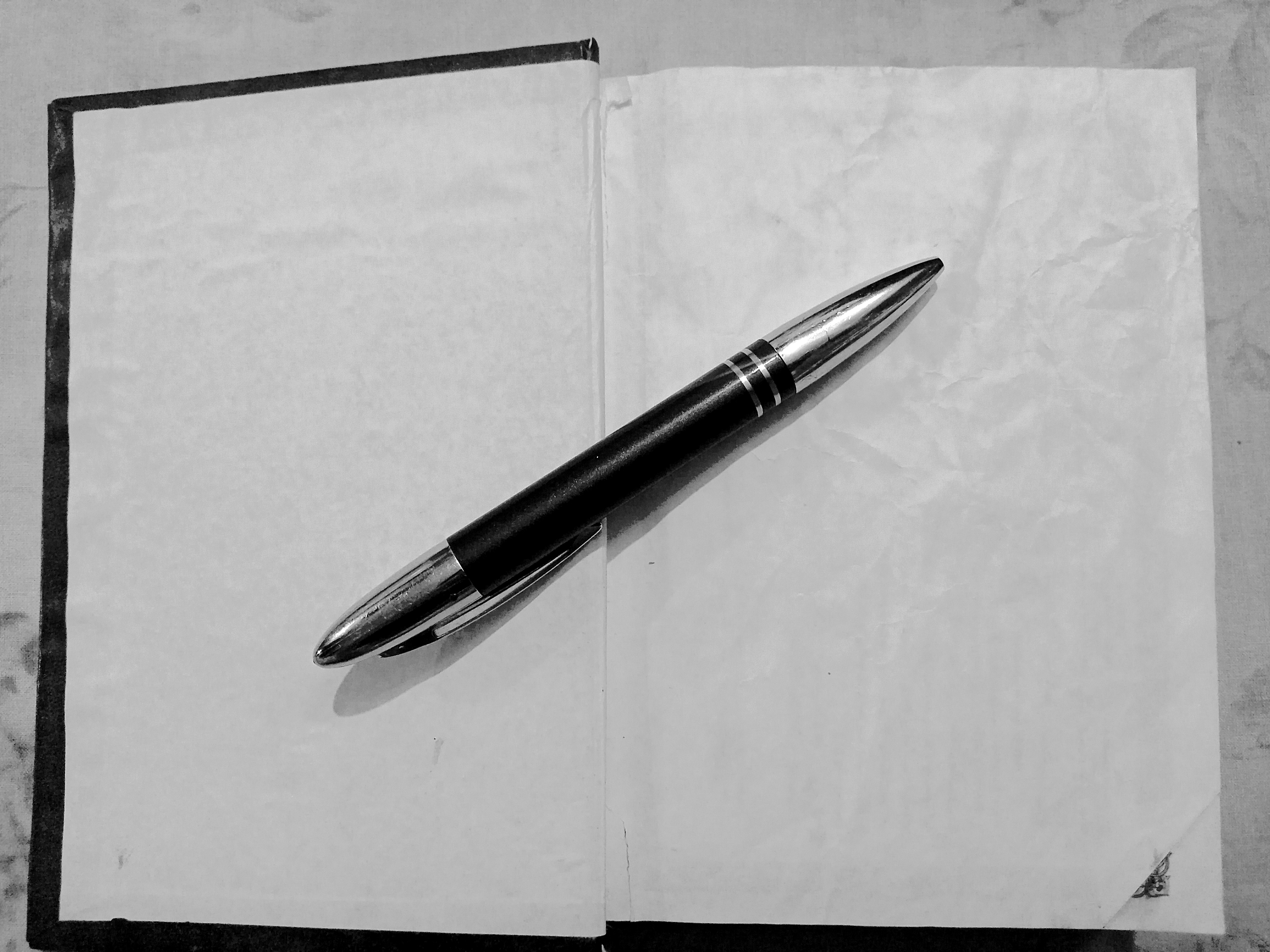 Write a 600-word essay in 24 hours