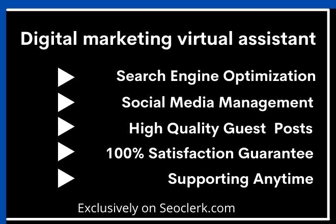 I will be your digital marketing virtual assistant pr...