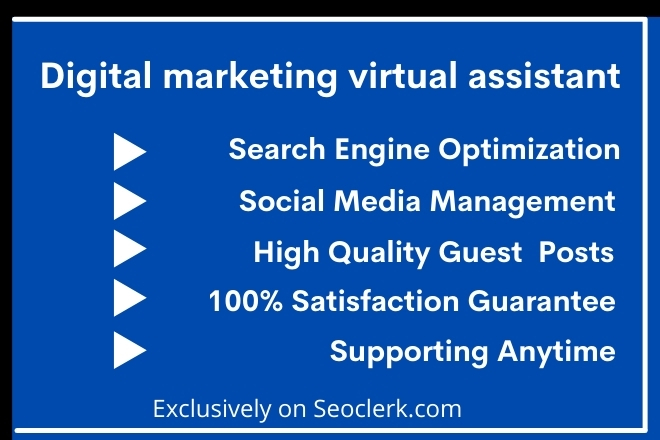 I will be a personal virtual assistant to support dig...
