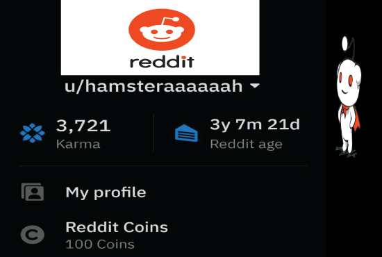 Guaranteed offer 10 HQ Dofollow Reddit Guest Post for GOOGLE RANK
