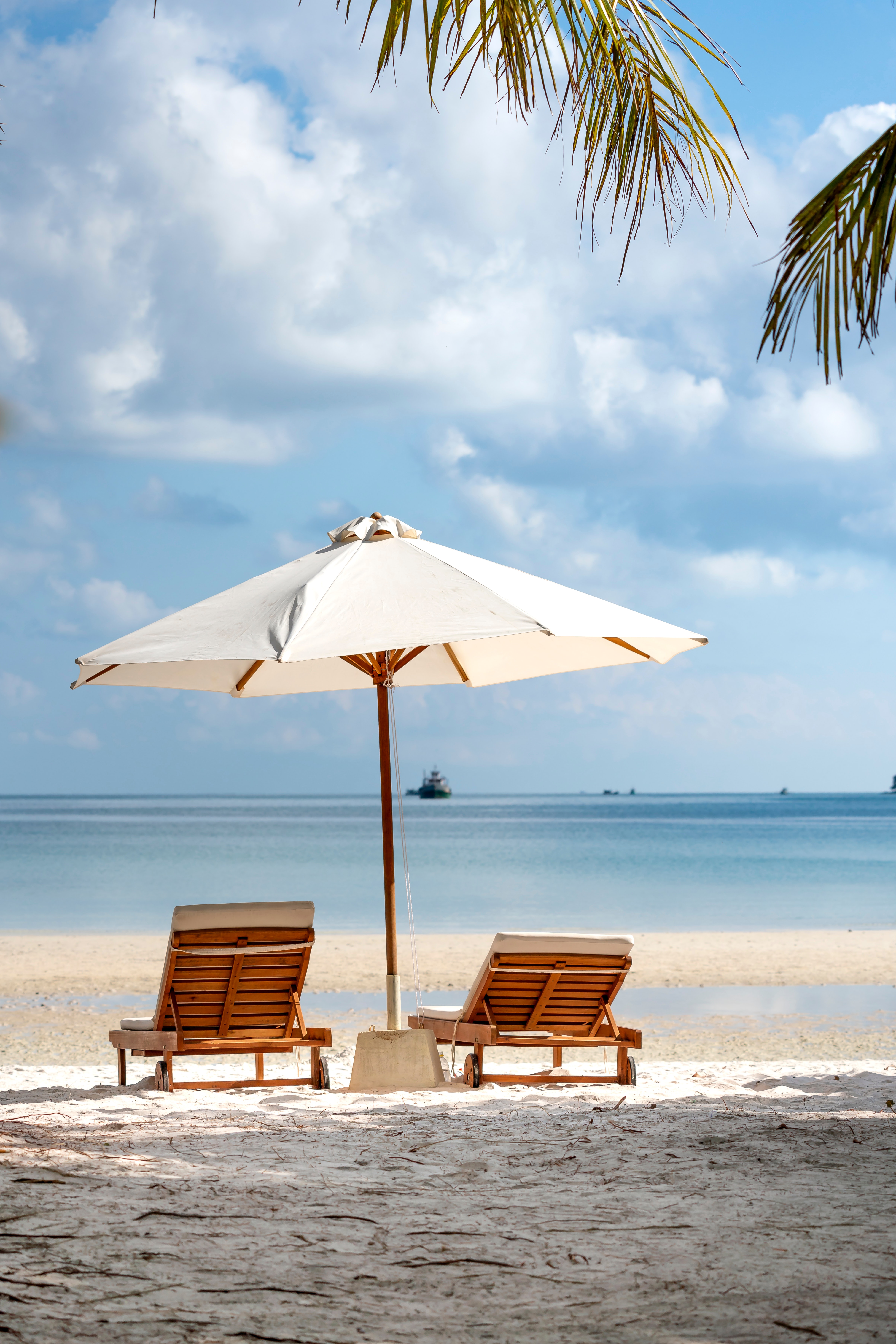 Writer, article writer and blogger. I provide all ki...