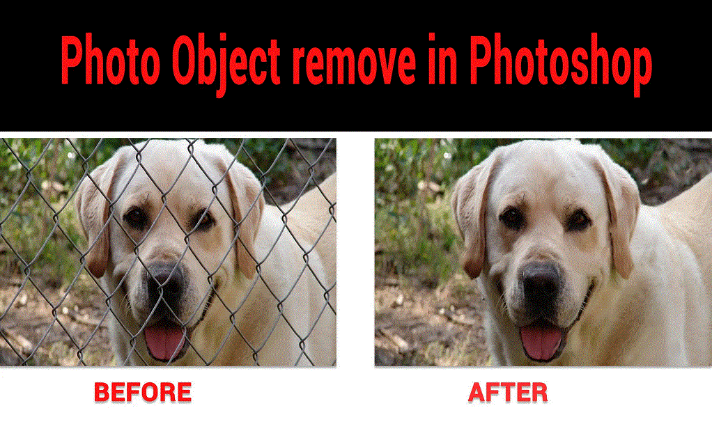 You will get images background remove professionally