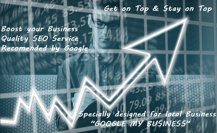 I Will do monthly Local SEO to rank your website on g...