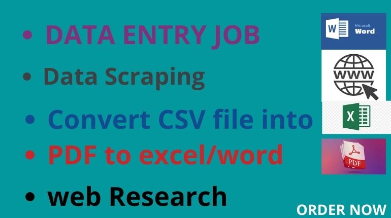 I will do data entry job any types