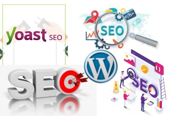 I will do quality full On-Page SEO for your WordPress...