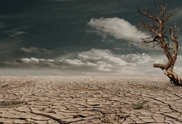 I can do very good YouTube thumbnails and YouTube. vi...