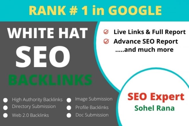 I will provide top 100 directory submission SEO backl...