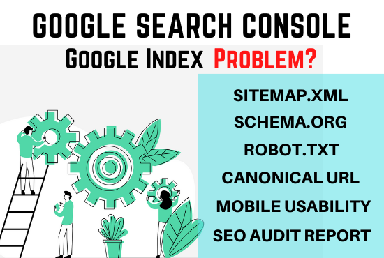 I will fix search console and google index errors, T...