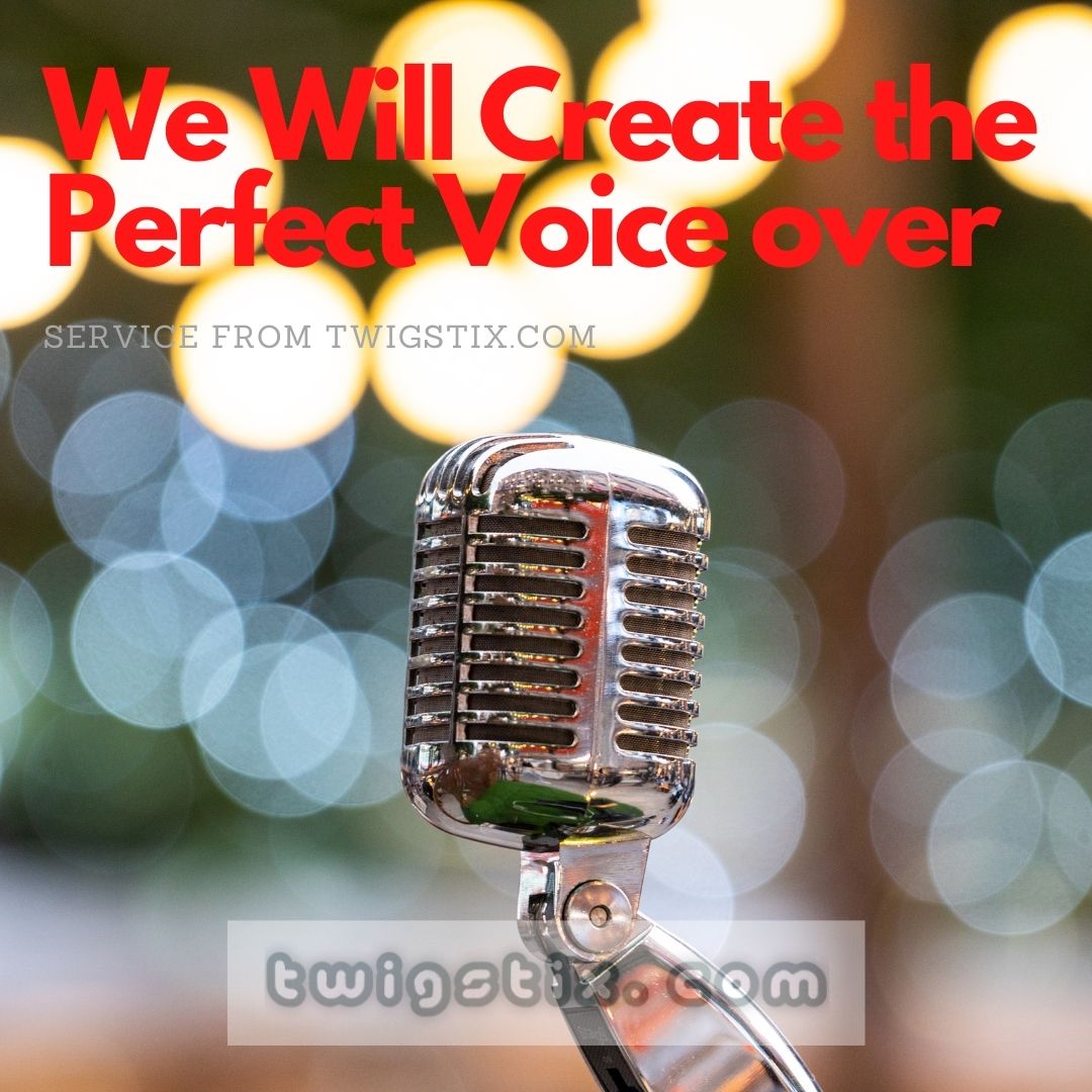 The Perfect Voice over for any video or presentation ...