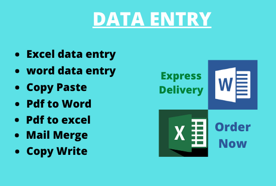 I wil do data entry word and excel, copy and paste, c...