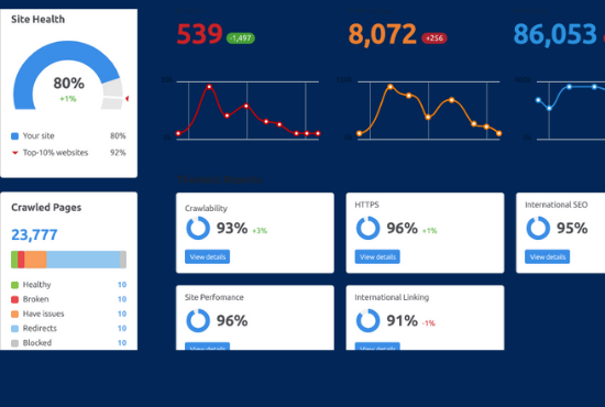 I will do professional onpage SEO and wordpress websi...