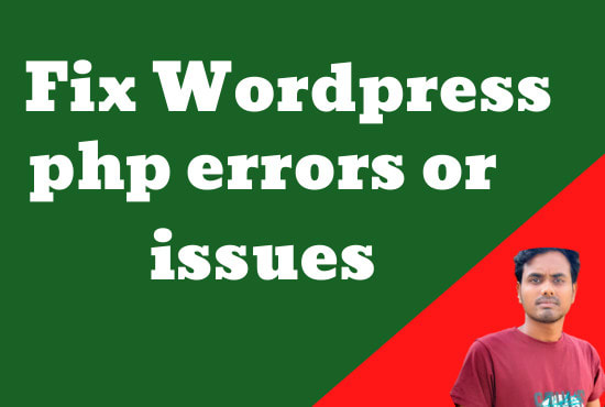 I will fix wordpress errors php, issues and customiz...