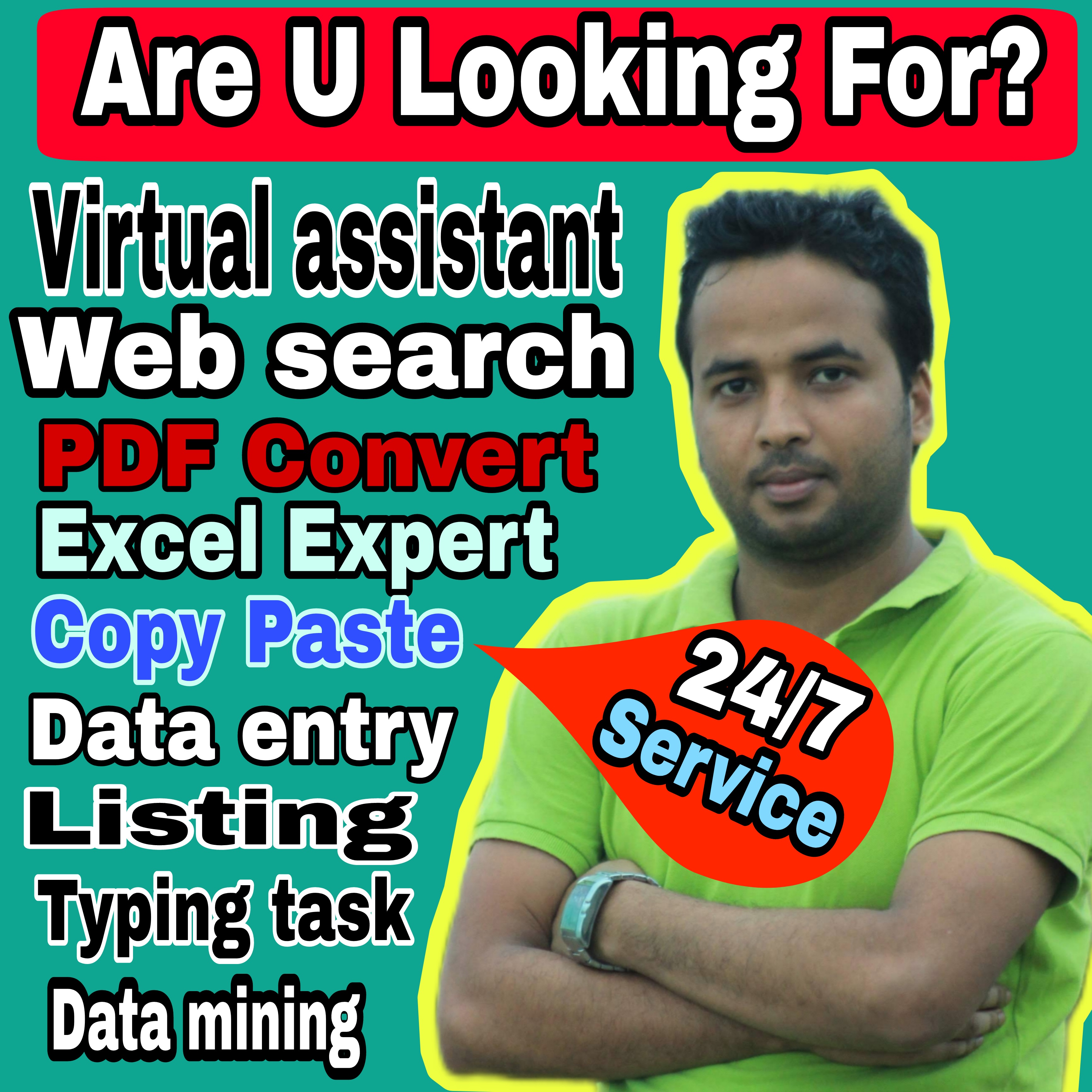 I will provide Unique services data entry excel data ...