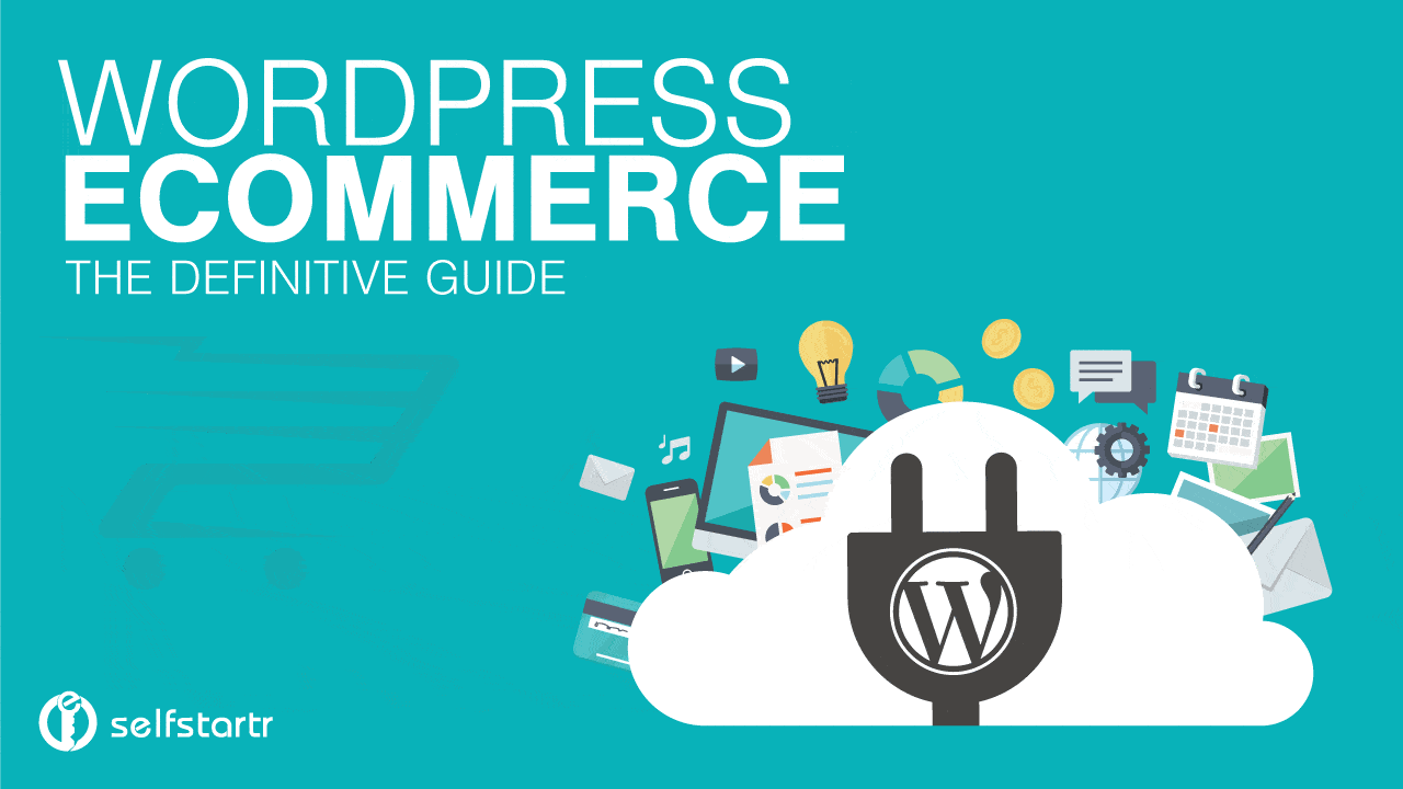 I will create ecommerce website ,wordpress ecommerce website,online store,woocommerce