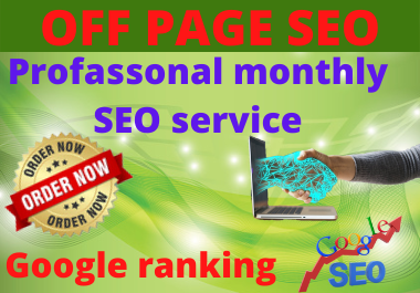 I will provide monthly off page SEO services, manual...
