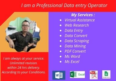 I will do data entry job and virtual assistance servi...