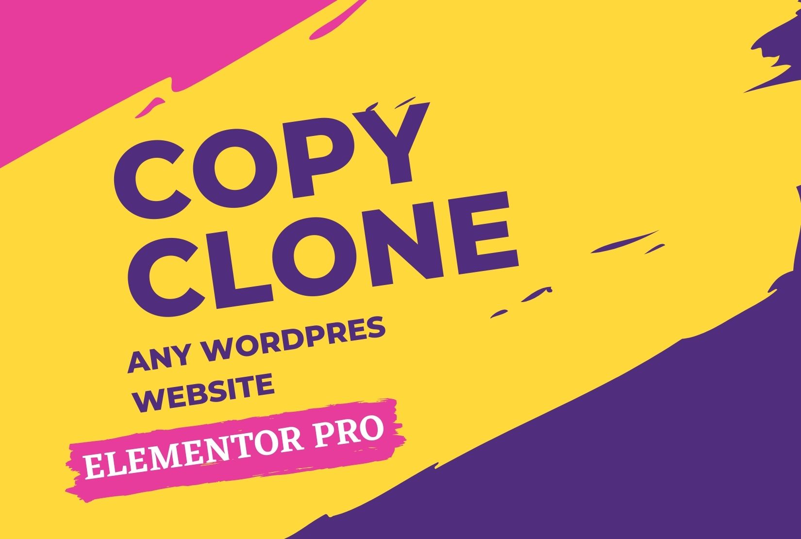 I will do copy clone, duplicate, redesign any web p...