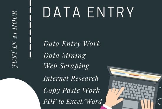 I will do fastest data entry in 24 hour and internet ...