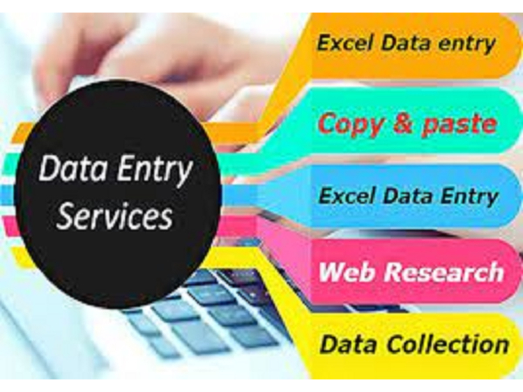 Data Entry / Data web research / data mining / scrapi...