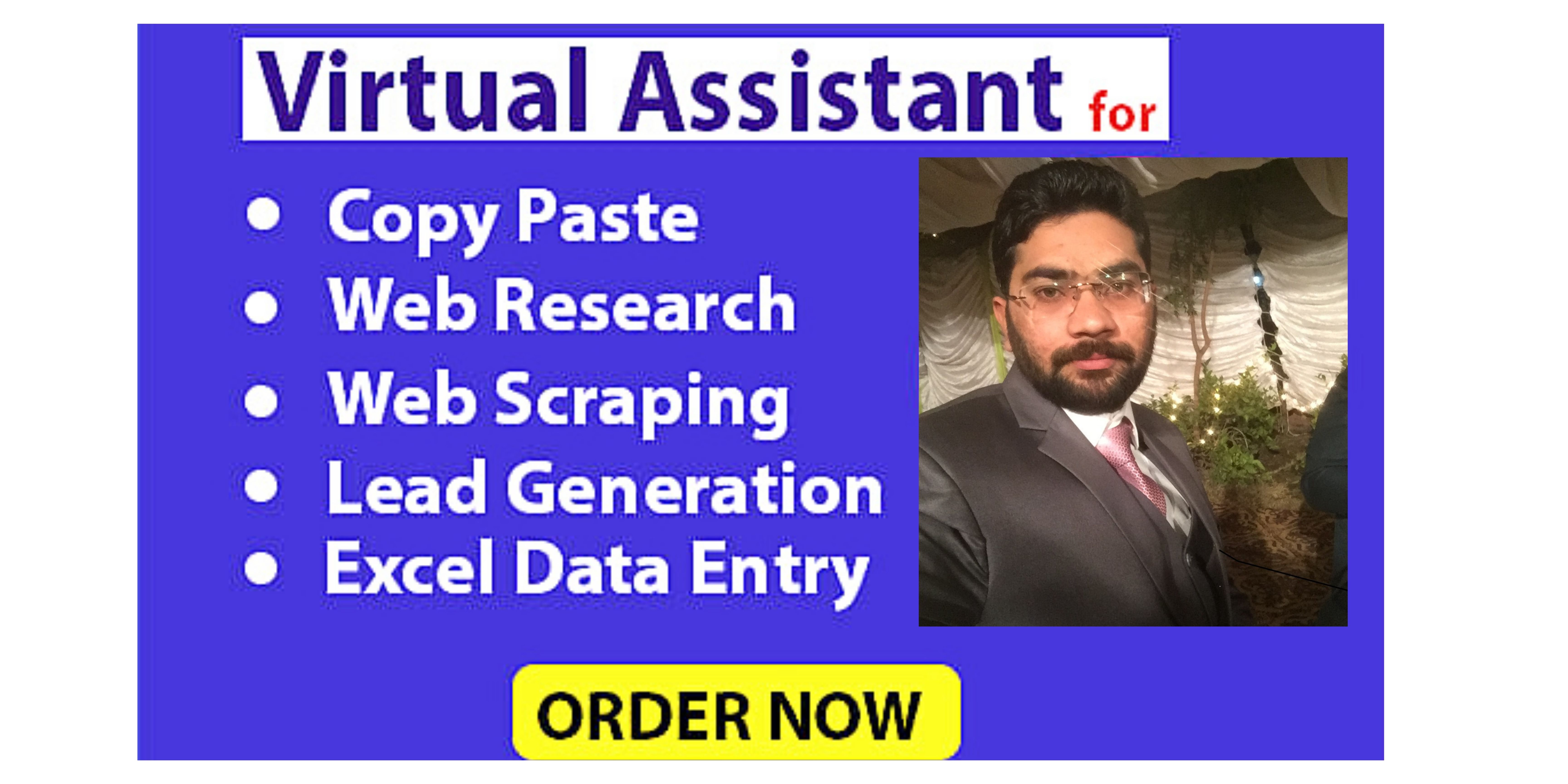 I will be your virtual assistant for excel data entry...