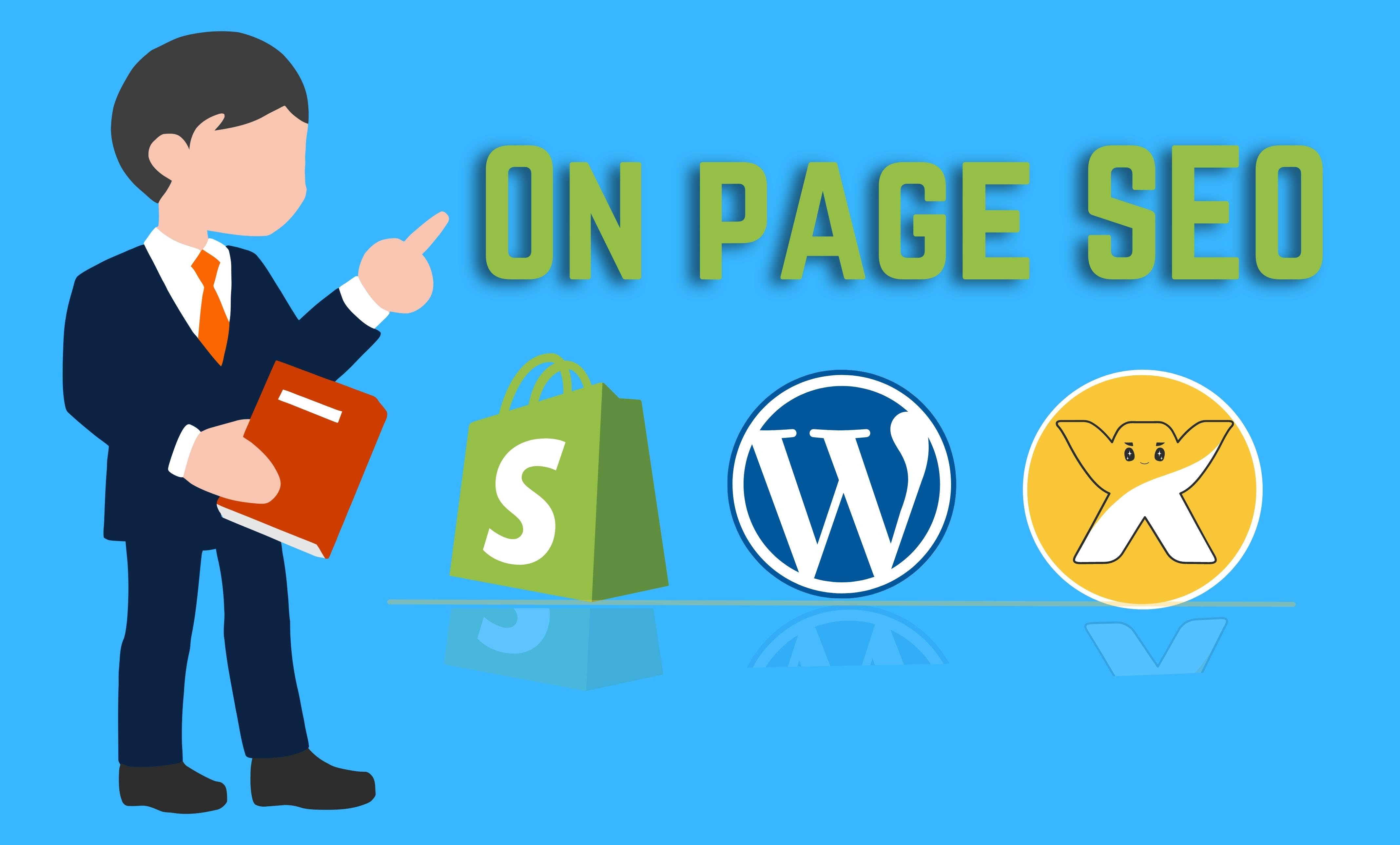 I will do monthly on-page SEO & technical SEO for...