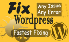 I will fix wordpress website errors and issues in 24 ...