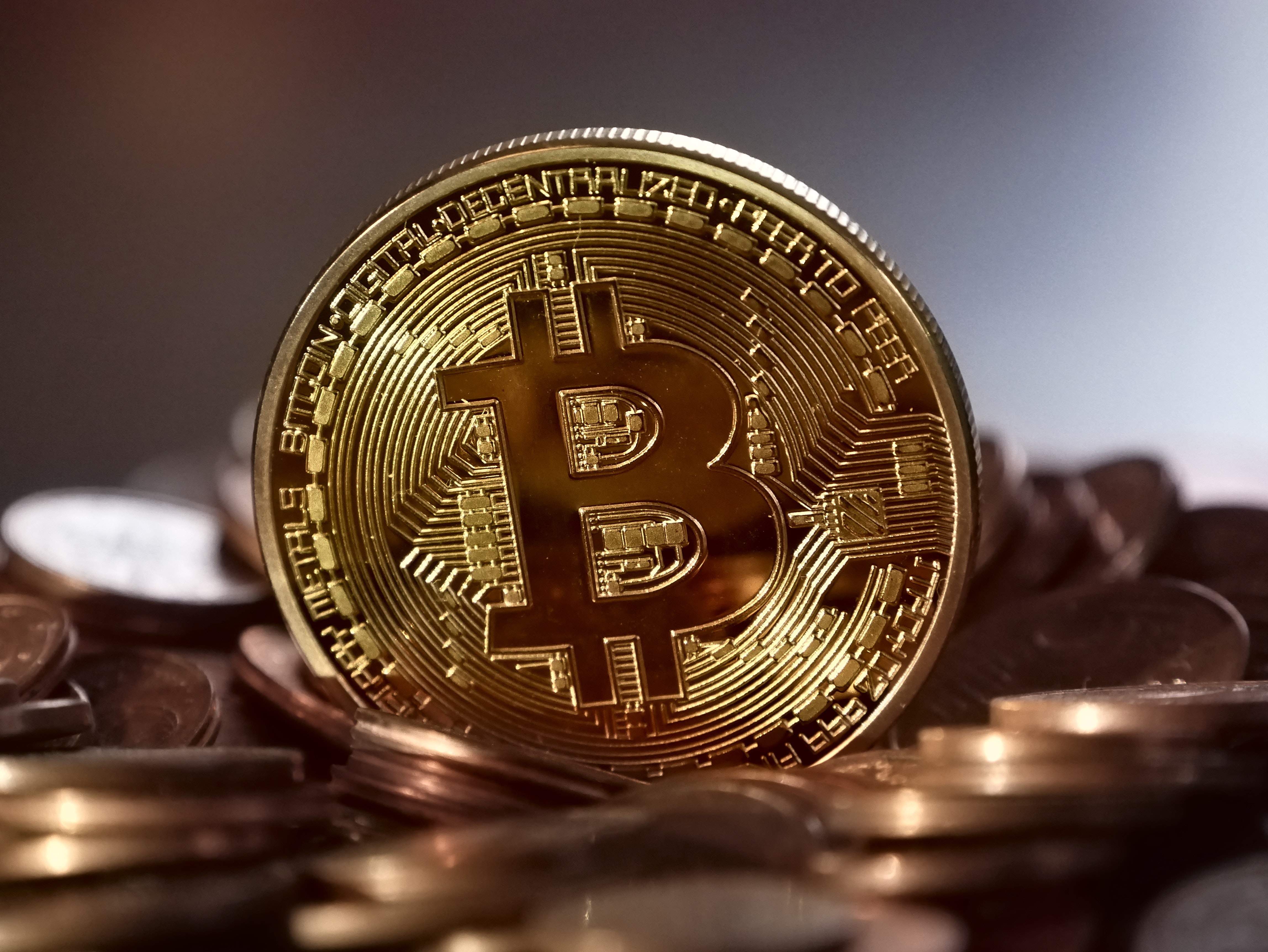 I WILL BUILD FOR YOU A BITCOIN INVESTMENT WEBSITE WIT...