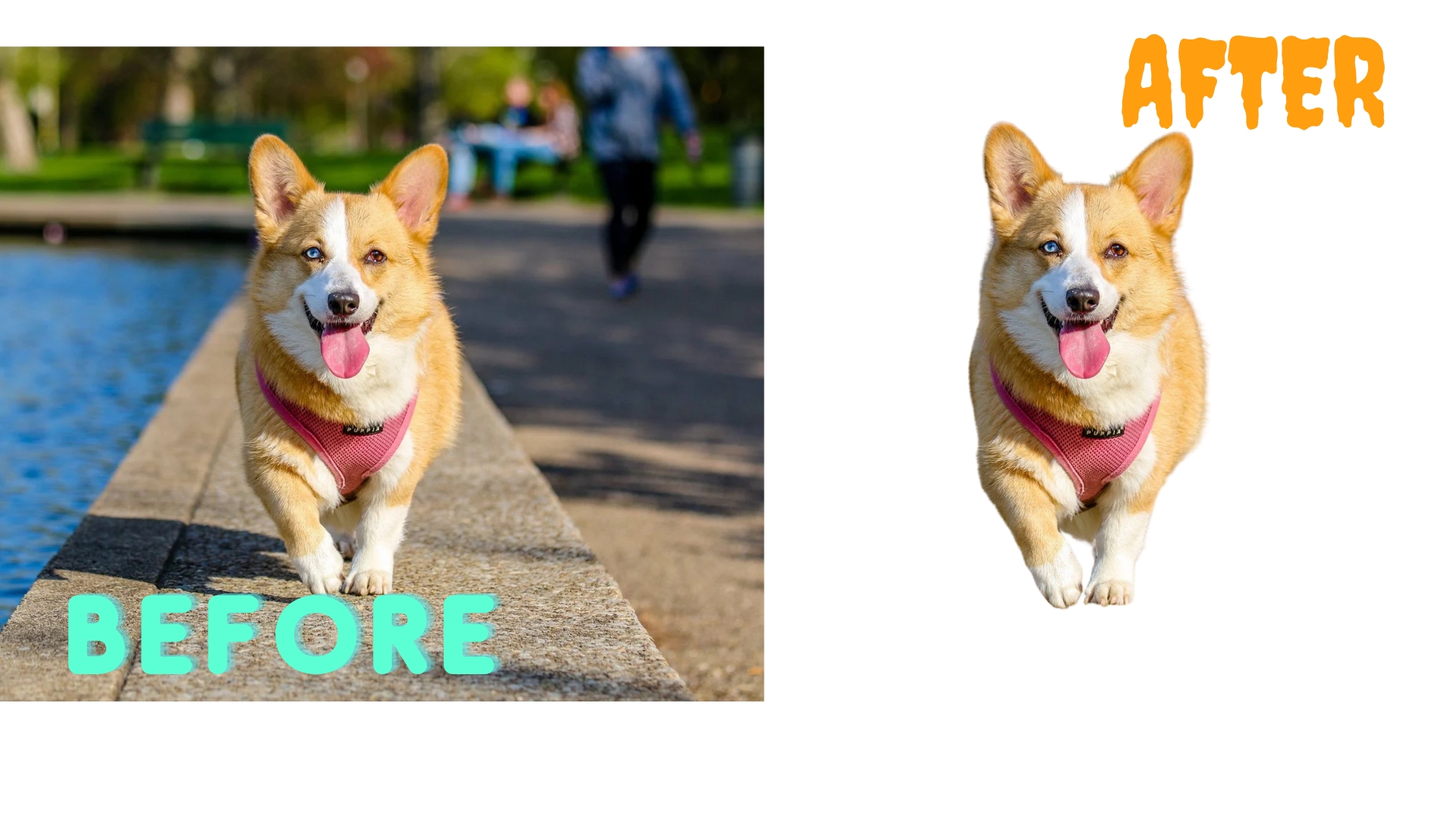 I WILL REMOVE YOUR BACKGROUND IN JUST A 3 HOURS OR LE...