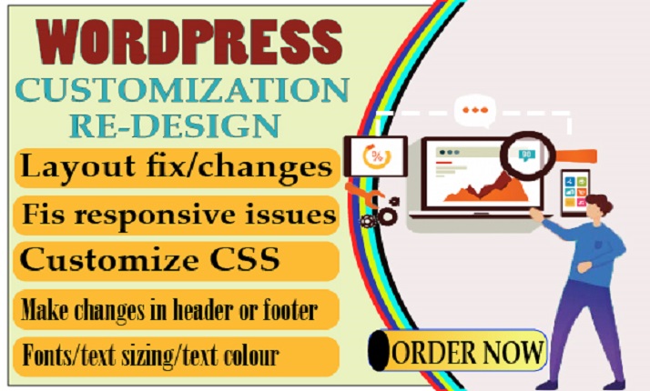 I will develop or customize wordpress plugin