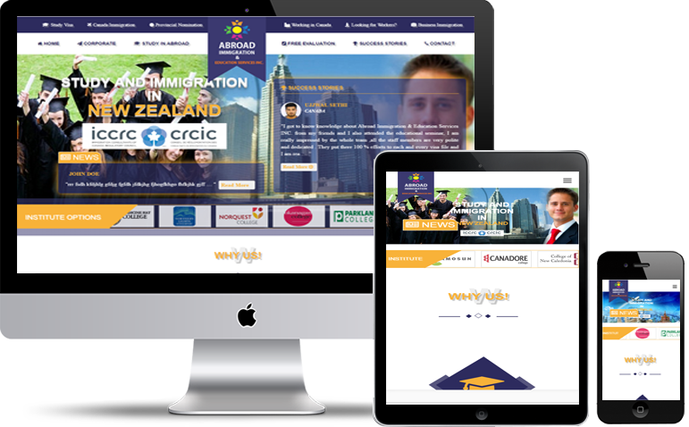 I will do professional wordpress website design or la...