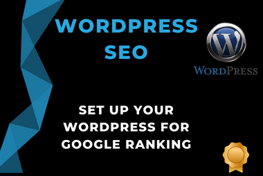 I will set up your wordpress SEO