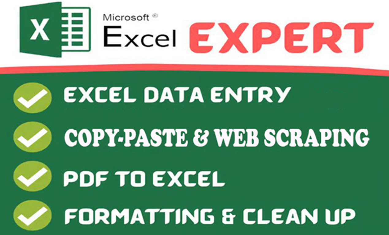I will do excel data entry, copy paste web scraping ...